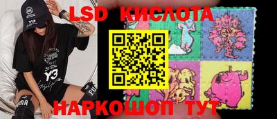 шишки Изобильный