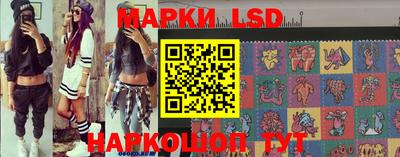шишки Изобильный