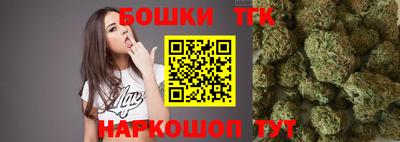 шишки Изобильный