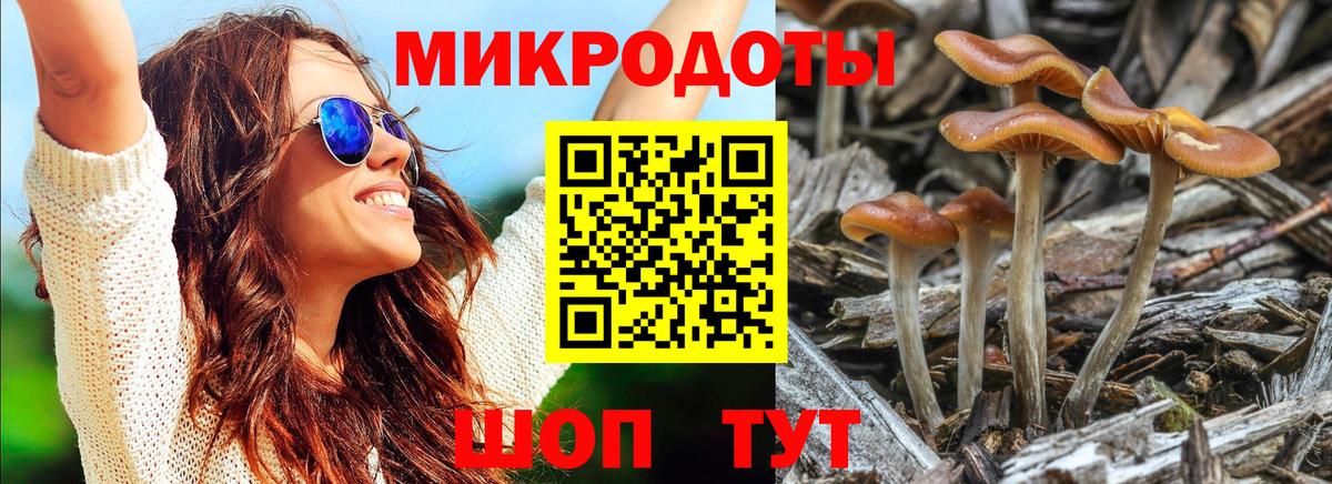 купить наркотики сайты  Вход с VPN  Кыштым  Псилоцибиновые грибы Psilocybine cubensis 
